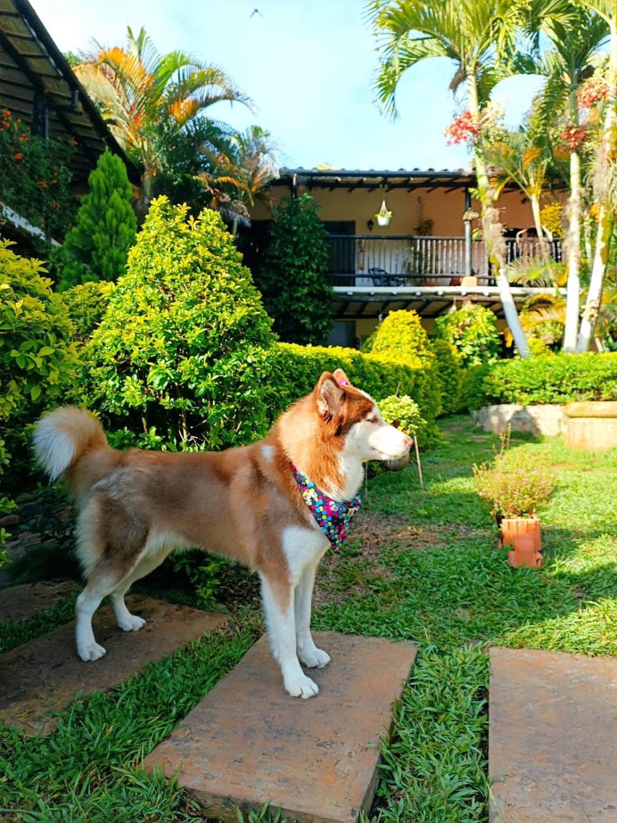 סן גיל Hotel Campestre Casona Del Camino Real מראה חיצוני תמונה